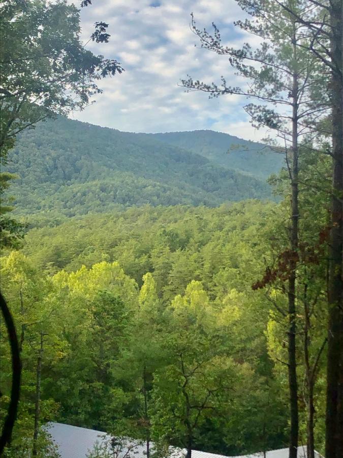 Mountain-Top Cabin Get-Away With Hot Tub And A View Sautee Nacoochee Екстер'єр фото